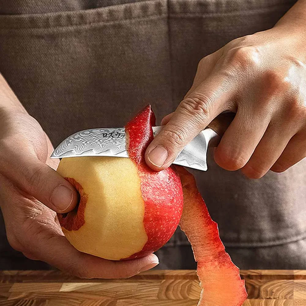 xz-x01-sg-rw - zdjęcie 12 (Dodatkowe)