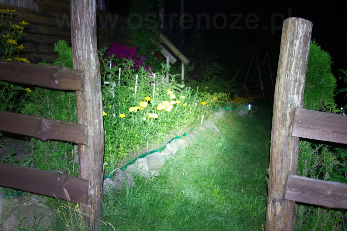 sunree_coolpal_limon - zdjęcie 4 (Opis)