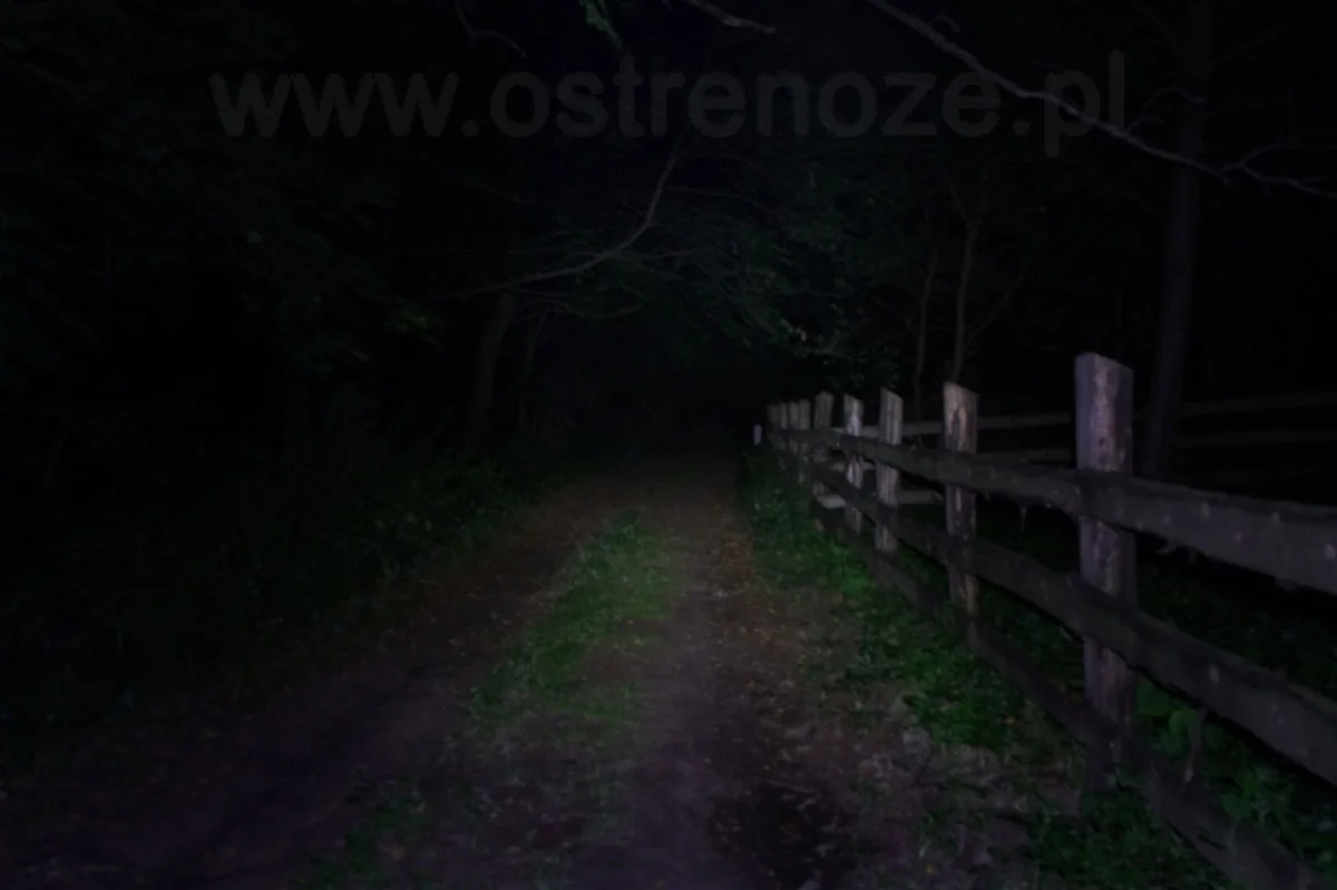 sunree_coolpal_pomar - zdjęcie 8 (Opis)