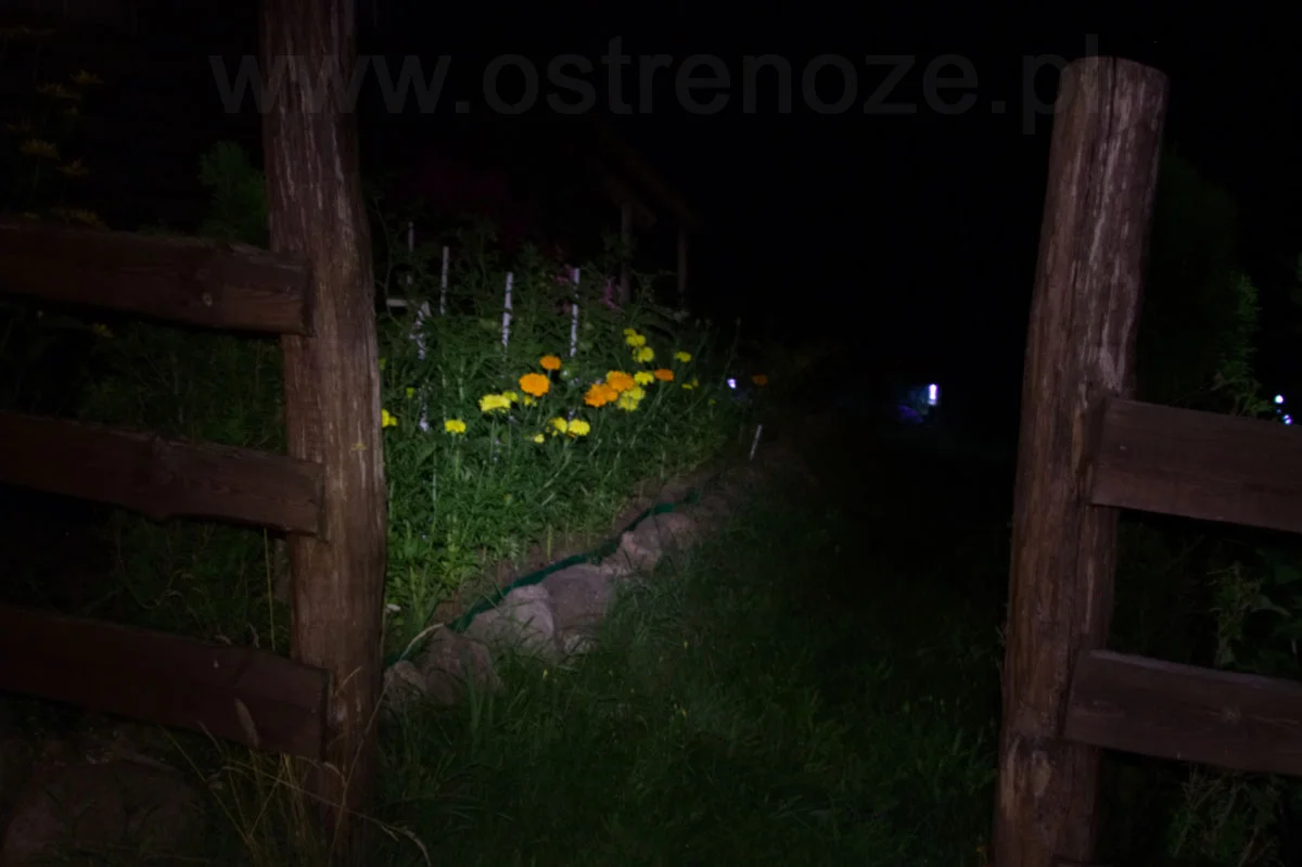 sunree_ifishing - zdjęcie 3 (Opis)