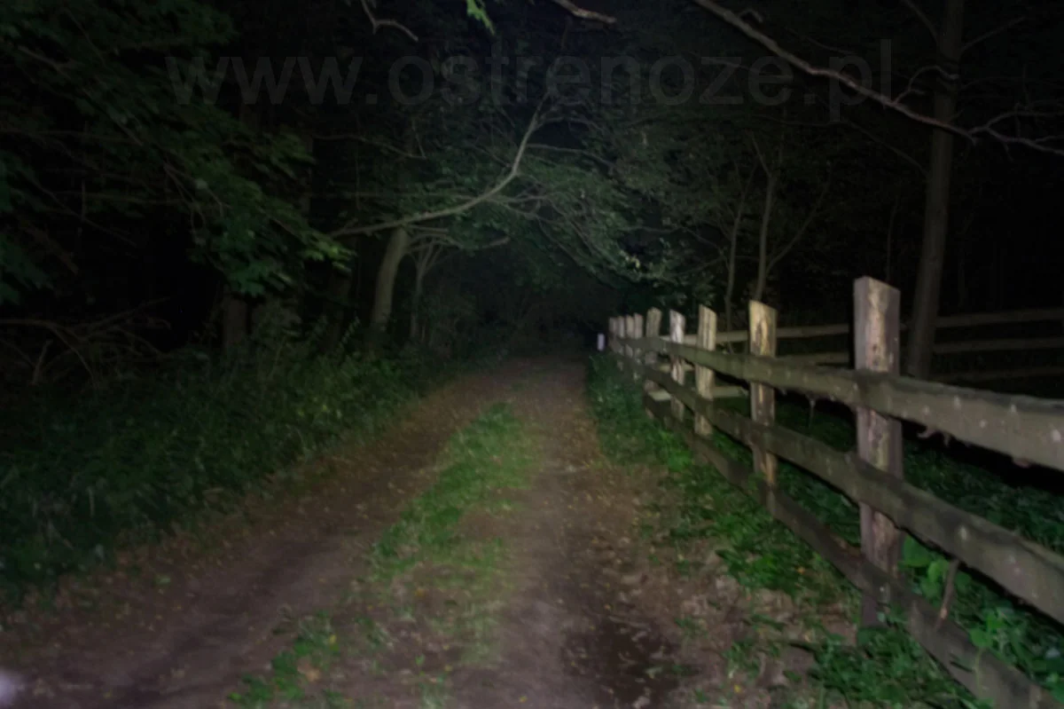 sunree_ifishing - zdjęcie 5 (Opis)