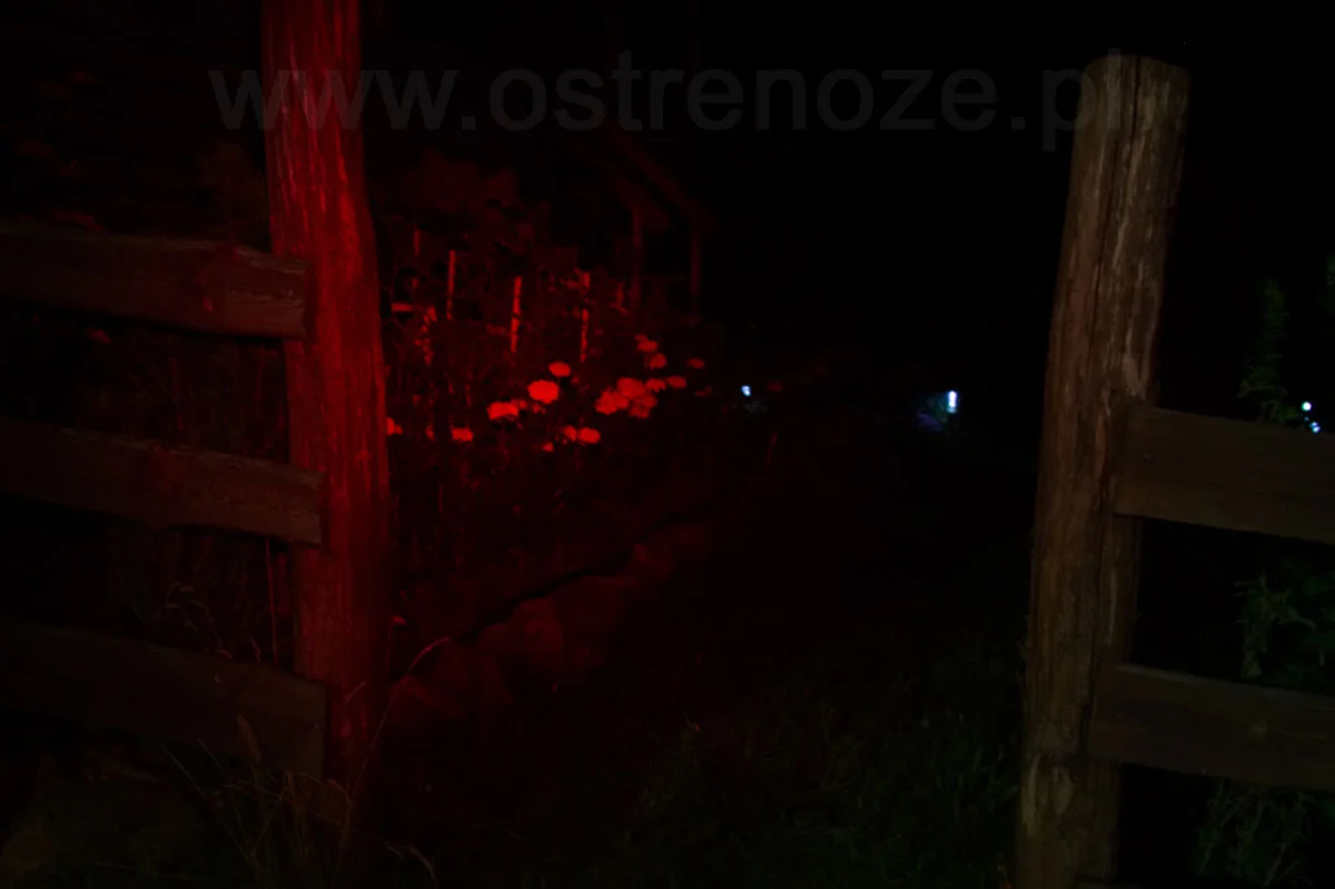 sunree_lala_limonka - zdjęcie 10 (Opis)