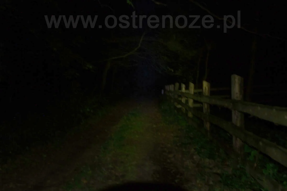 sunree_lala_morski - zdjęcie 2 (Opis)