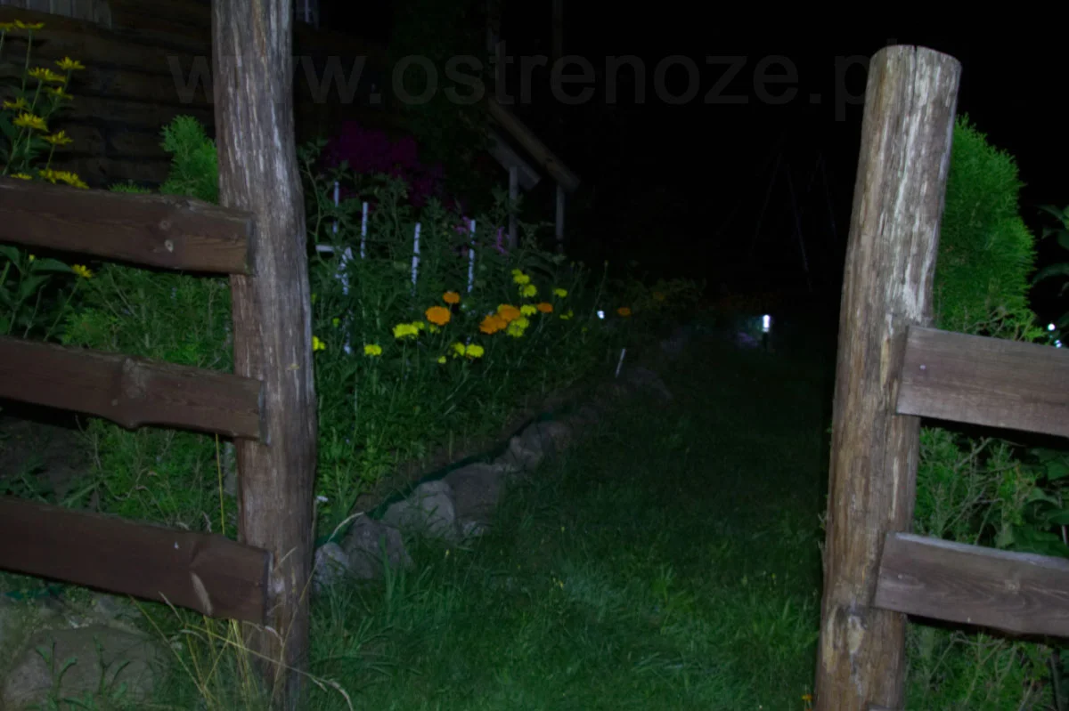 sunree_ree_blue - zdjęcie 3 (Opis)