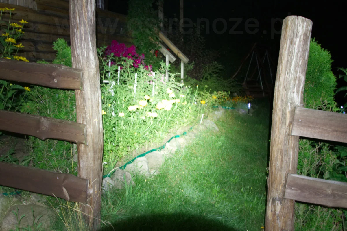 sunree_ree_orange - zdjęcie 2 (Opis)