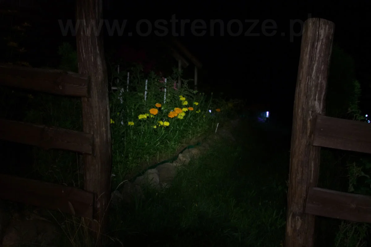 sunree_ree_orange - zdjęcie 5 (Opis)