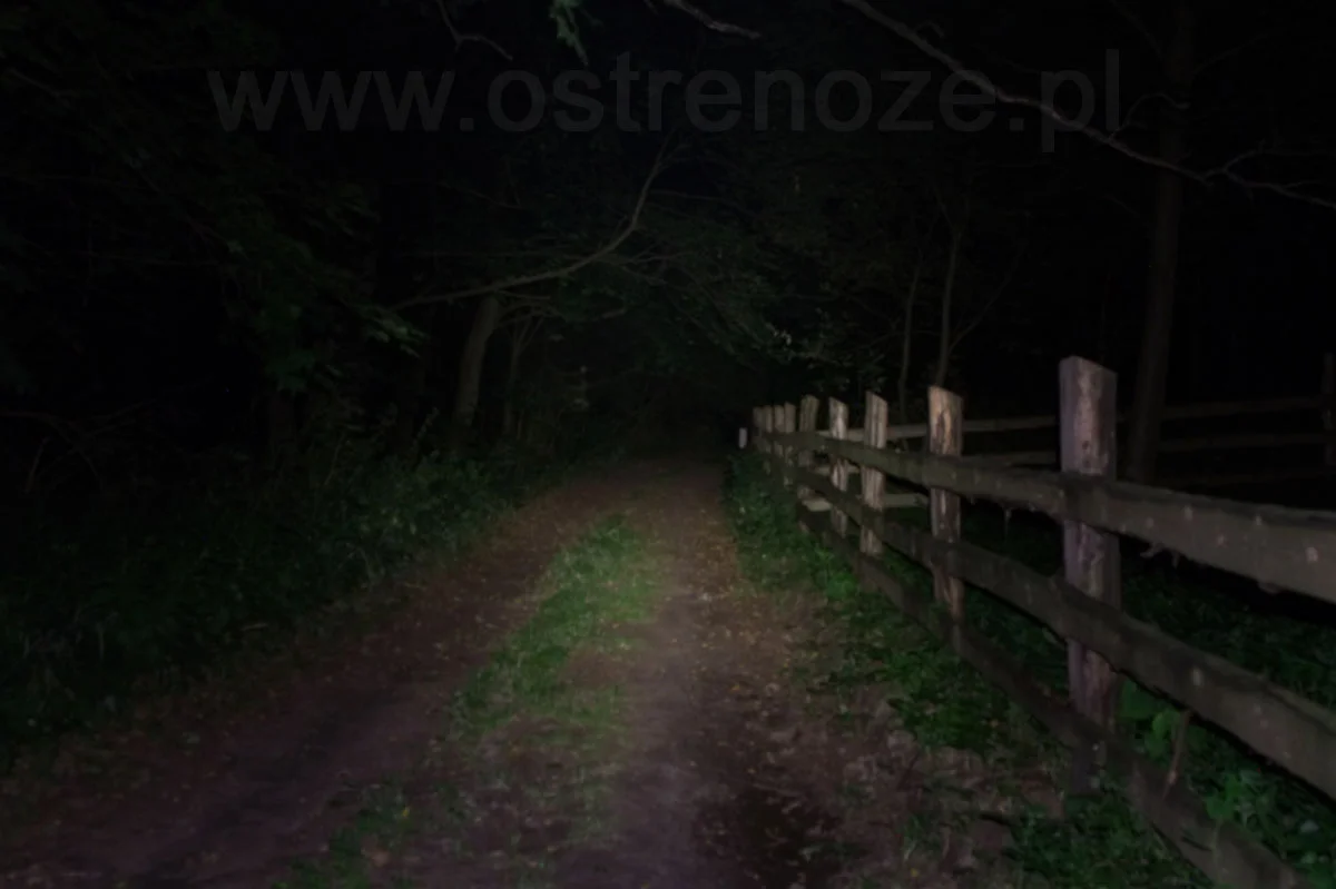 sunree_ree_orange - zdjęcie 7 (Opis)