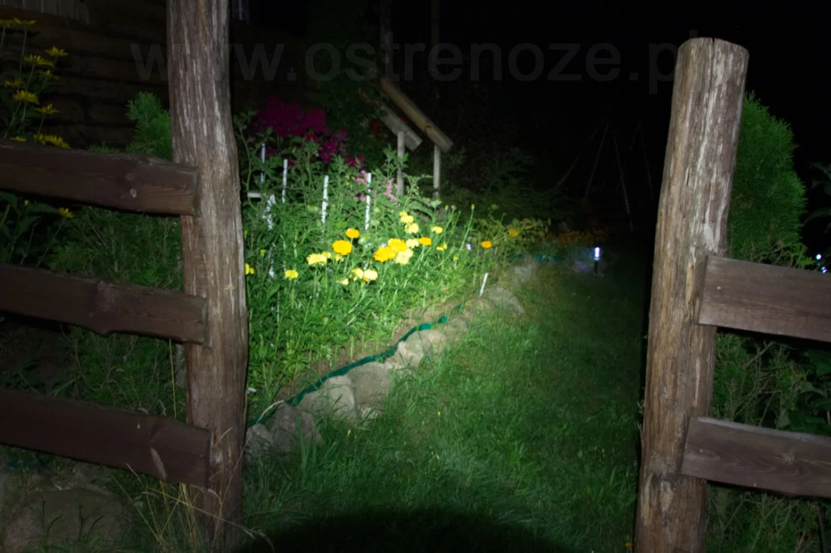 sunree_ree_orange - zdjęcie 8 (Opis)