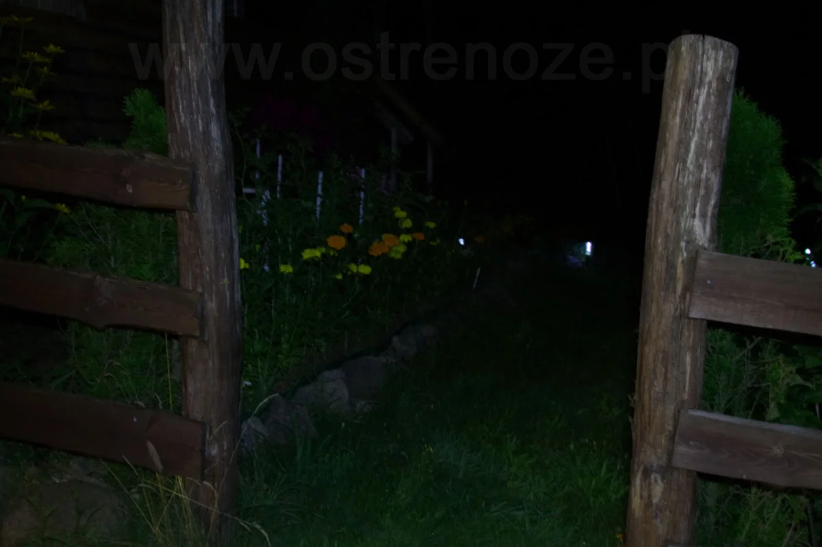 sunree_ree_orange - zdjęcie 9 (Opis)