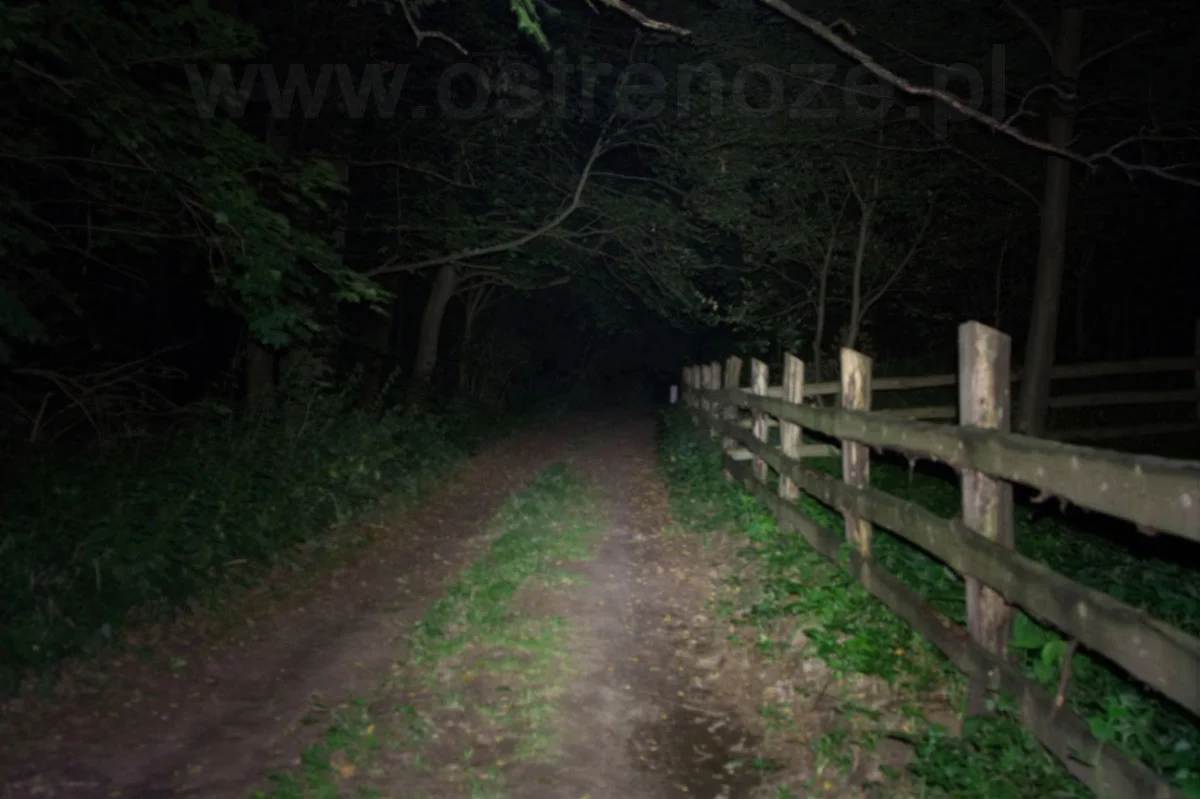 sunree_youdo2s_orang - zdjęcie 3 (Opis)