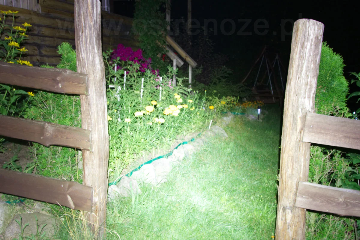 sunree_youdo2s_orang - zdjęcie 7 (Opis)