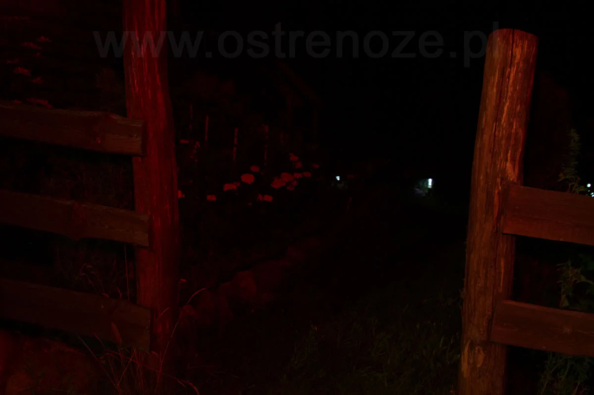 sunree_youdo4_orange - zdjęcie 10 (Opis)