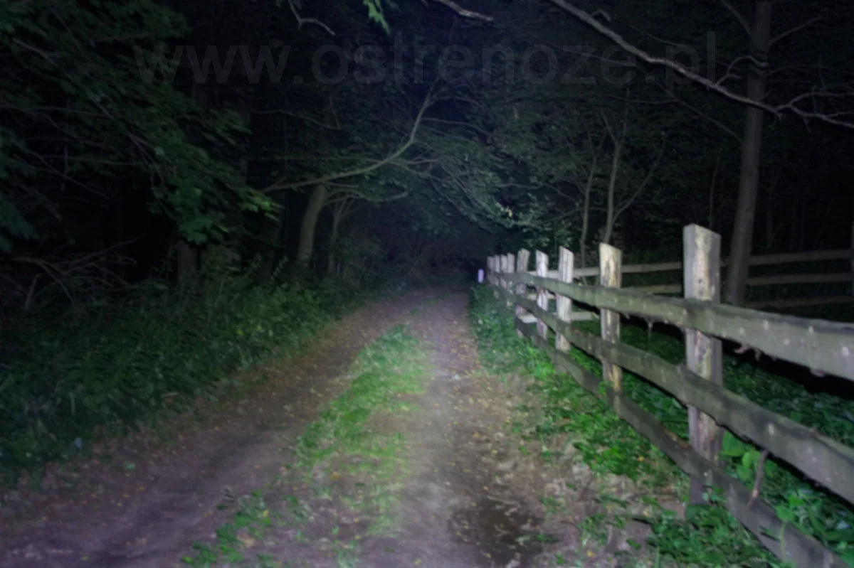 sunree_youdo4_orange - zdjęcie 2 (Opis)