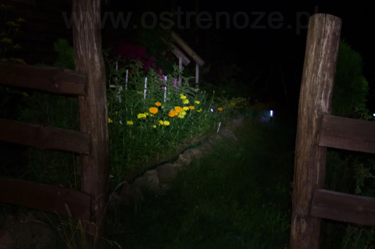 sunree_zengto3 - zdjęcie 13 (Opis)