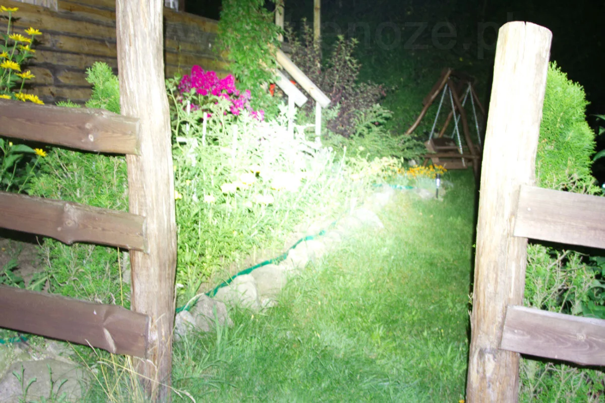 sunree_zengto3 - zdjęcie 4 (Opis)