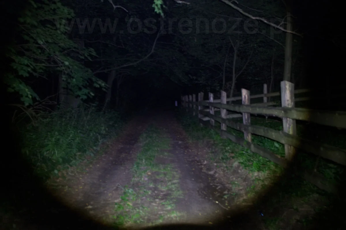 t11r250-123a-bike - zdjęcie 4 (Opis)